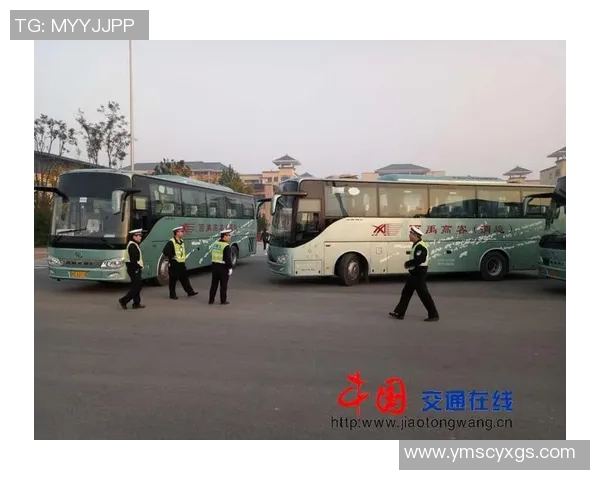 篮球明星因交通违规被交警拦下引发热议引发公众对交通安全的关注